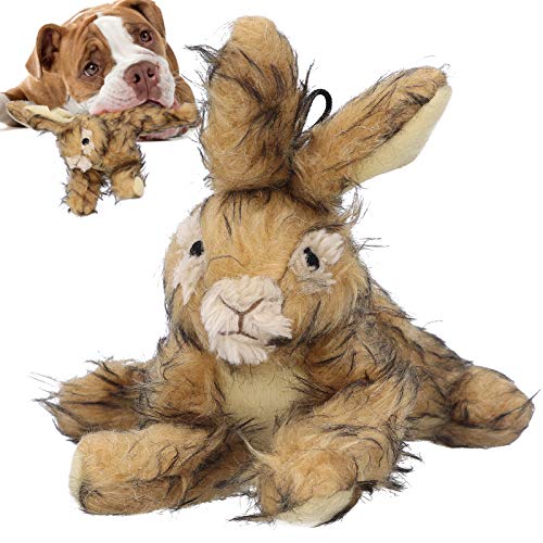 JOROBURO Plüsch-Hundespielzeug, Simulations-Kaninchen-Haustier-Kauspielzeug, Hundekatze-Spielspielzeug, Hunde-Beißspielzeug, Interaktives, Gefülltes, Quietschendes Hundespielzeug für JOROBURO Plüsch-Hundespielzeug, Simulations-Kaninchen-Haustier-Kauspielzeug, Hundekatze-Spielspielzeug, Hunde-Beißspielzeug, Interaktives, Gefülltes, Quietschendes Hundespielzeug für von JOROBURO
