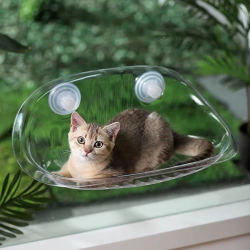 Katzenhängematte, Transparente, Stabile Struktur, Stark Belastbares Katzenhängemattenbett, Saugnapf-Katzenfensterbett mit Vergrößerten Saugnäpfen für den Innenbereich Katzenhängematte, Transparente, Stabile Struktur, Stark Belastbares Katzenhängemattenbett, Saugnapf-Katzenfensterbett mit Vergrößerten Saugnäpfen für den Innenbereich von JOROBURO