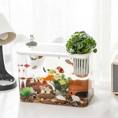 Kleines Aquarium, Kunststoff, Durchsichtig, Mikro-Landschaft, Desktop-Aquarium, Betta-Aquarium, Desktop-Mini-Fischschale, Aquarium-Aquarium, Transparentes Tank-Set, Fischschale für Goldfisch,(Weiß) von JOROBURO