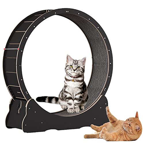 Katzenrad, Katzenlaufband, Katzen-Trainingsrad, niedliches Katzenmöbel, Haustierspielzeug, Katzenspielzeug, Gewichtsverlustgerät, Katzen-Spinnrad, ideal für körperliche Aktivität und Reduzierung von von JOSKAA