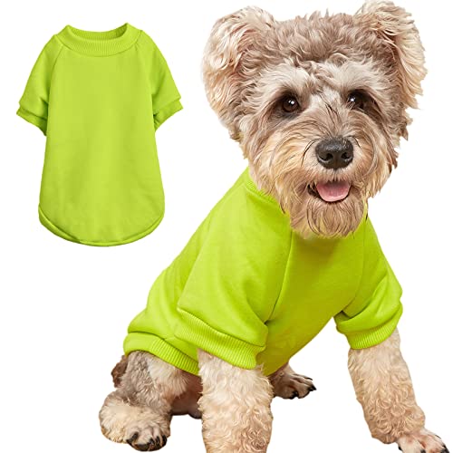 Puppy Sweater for Small Dogs Clothes Warm Winter Cat Clothe Pet Sweatshirt Knitwear Doggie Kitten Clothing, Light Green, XX-Small von JOUHOI