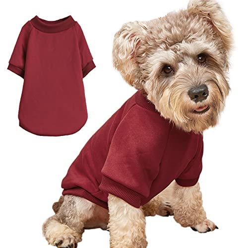 Puppy Sweater for Small Dogs Clothes Warm Winter Cat Clothe Pet Sweatshirt Knitwear Doggie Kitten Clothing, Wine, Medium von JOUHOI