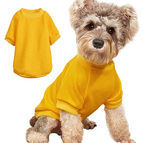 Puppy Sweater for Small Dogs Clothes Warm Winter Cat Clothe Pet Sweatshirt Knitwear Doggie Kitten Clothing, Yellow, Medium von JOUHOI