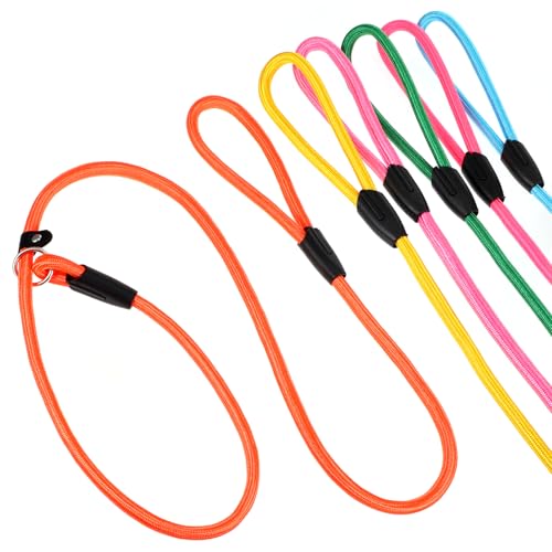 6-teiliges Premium-Hundeleinen-Set, 1,5 m, robustes Seil für kleine und mittelgroße Hunde in einer lebendigen 6-farbigen Kollektion von JOUTYFOR