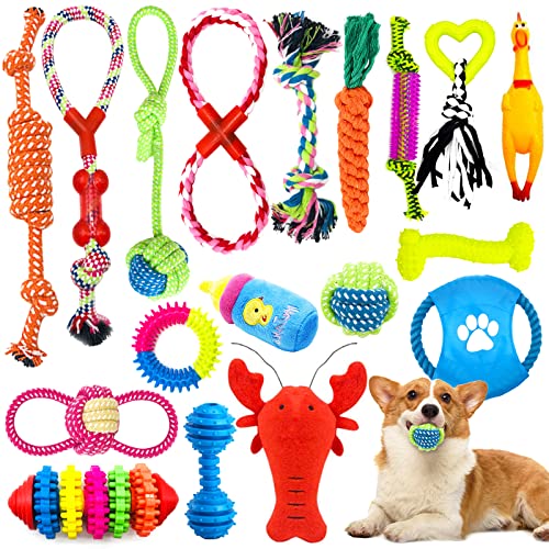 JOYBOY Hundespielzeug,18 Stück Welpenspielzeug,Natürlicher Baumwolle,Interaktive Hunde Kauspielzeuge für Zahnpflege,für Kleine und Mittlere Hunde JOYBOY Hundespielzeug,18 Stück Welpenspielzeug,Natürlicher Baumwolle,Interaktive Hunde Kauspielzeuge für Zahnpflege,für Kleine und Mittlere Hunde von JOYBOY