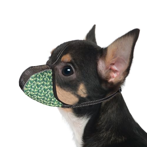 JOYPAWS Maulkorb XS für extra kleine Hunde, verhindert Beißen, Kauen, Bellen. Weiches Air-Mesh, reflektierend, verstellbar, voller Schutz für Pflege & Ausflüge, Farbe Grün JOYPAWS Maulkorb XS für extra kleine Hunde, verhindert Beißen, Kauen, Bellen. Weiches Air-Mesh, reflektierend, verstellbar, voller Schutz für Pflege & Ausflüge, Farbe Grün von JOYPAWS