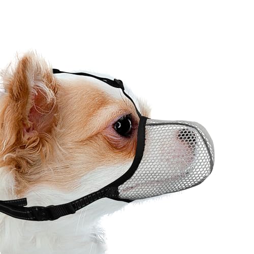 JOYPAWS Maulkorb für Hunde, atmungsaktiv, weich, für extra kleine Hunde, verhindert Bellen und Beißen, Kauen, reflektierender und verstellbarer Korbmaulkorb mit Air-Mesh für Dackel, Grau, XS JOYPAWS Maulkorb für Hunde, atmungsaktiv, weich, für extra kleine Hunde, verhindert Bellen und Beißen, Kauen, reflektierender und verstellbarer Korbmaulkorb mit Air-Mesh für Dackel, Grau, XS von JOYPAWS