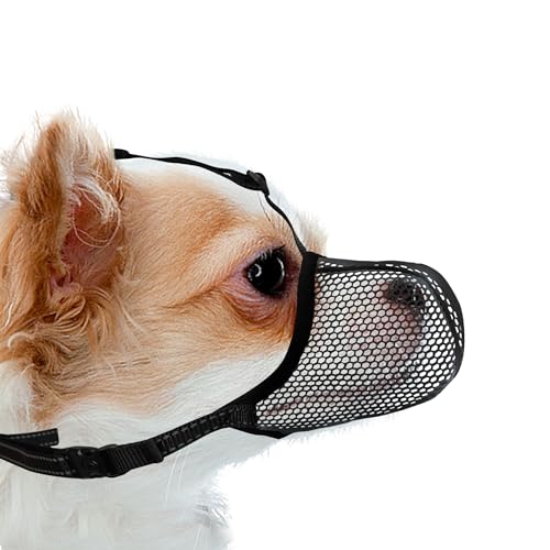 JOYPAWS Maulkorb für Hunde, atmungsaktiv, weich, für extra kleine Hunde, verhindert Bellen und Beißen, Kauen, reflektierender und verstellbarer Korbmaulkorb mit Air-Mesh für Dackel, Schwarz, Größe XS JOYPAWS Maulkorb für Hunde, atmungsaktiv, weich, für extra kleine Hunde, verhindert Bellen und Beißen, Kauen, reflektierender und verstellbarer Korbmaulkorb mit Air-Mesh für Dackel, Schwarz, Größe XS von JOYPAWS