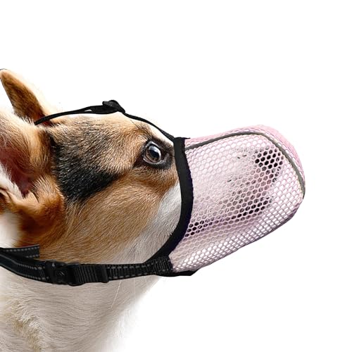 JOYPAWS Maulkorb für Hunde, atmungsaktiv, weich, für kleine Hunde, gegen Bellen, Beißen, Kauen, reflektierender und Verstellbarer Korbmaulkorb mit Luftnetz, für Spielzeugpudel, Rosa, S von JOYPAWS