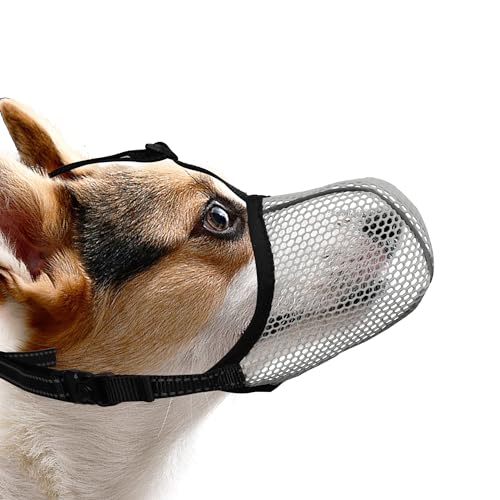 JOYPAWS Maulkorb für Hunde, atmungsaktiv, weich, für kleine Hunde, gegen Bellen, Beißen, Kauen, reflektierender und verstellbarer Korbmaulkorb mit Luftnetz, für Spielzeugpudel, Grau, S von JOYPAWS