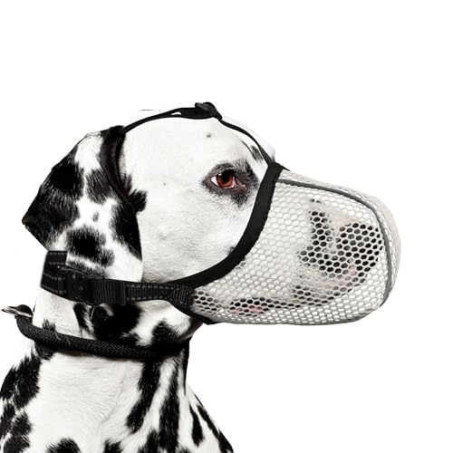JOYPAWS Maulkorb für Hunde, atmungsaktiv, weich, für mittelgroße bis große Hunde, gegen Bellen, Beißen, Kauen, reflektierender und verstellbarer Korbmaulkorb mit Luftnetz, für Beagle, Beige, L von JOYPAWS