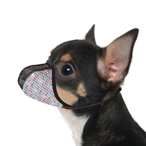 JOYPAWS Maulkorb für extra kleine Hunde, verhindert Beißen, Kauen & Bellen. Weiches, reflektierendes Air-Mesh, verstellbar, volle Abdeckung. Für Fellpflege & Schnitzen. Farbe XS JOYPAWS Maulkorb für extra kleine Hunde, verhindert Beißen, Kauen & Bellen. Weiches, reflektierendes Air-Mesh, verstellbar, volle Abdeckung. Für Fellpflege & Schnitzen. Farbe XS von JOYPAWS
