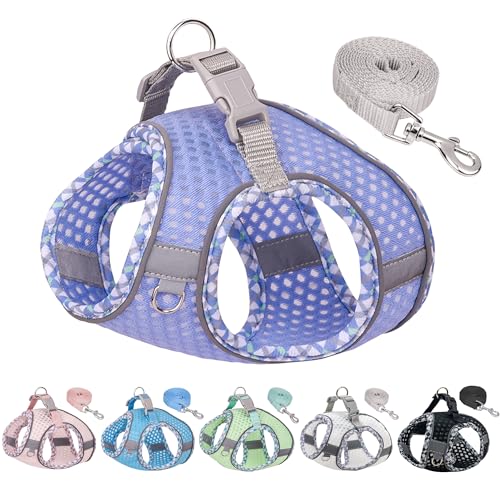JOYPAWS Summer Soft Dog Harness and Leash Set, Ultra Thin Breathable Diamond Mesh, Step in Adjustable Dog Harness with Padded Vest for Medium Size Dogs in Hot Weather Lavender L von JOYPAWS