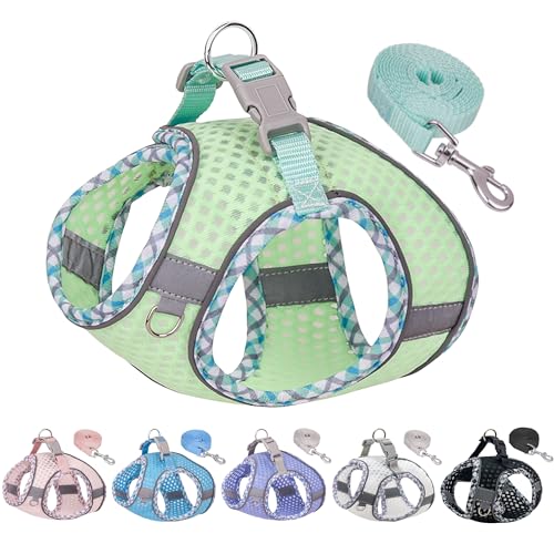 JOYPAWS Summer Soft Dog Harness and Leash Set, Ultra Thin Breathable Diamond Mesh, Step in Adjustable Dog Harness with Padded Vest for Medium Size Dogs in Hot Weather Salbei L von JOYPAWS