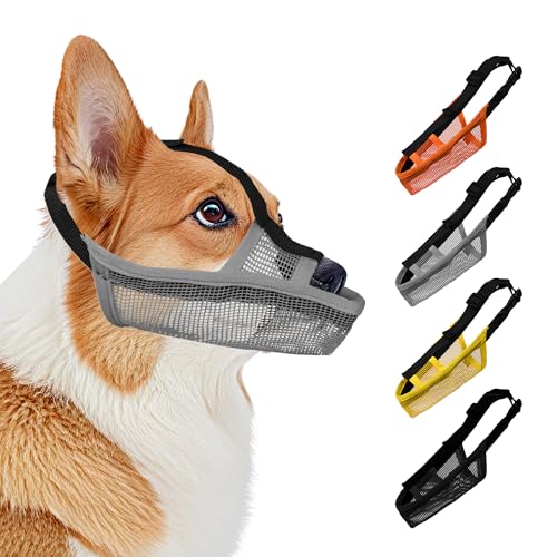 JOYPAWS Weicher Maulkorb für kleine, mittelgroße und große Hunde, lange Schnauze, atmungsaktiv, luftdurchlässig, trinkbar, Haustiermaulkorb gegen Beißen, Kauen mit verstellbaren Riemen, Anti-Bellen JOYPAWS Weicher Maulkorb für kleine, mittelgroße und große Hunde, lange Schnauze, atmungsaktiv, luftdurchlässig, trinkbar, Haustiermaulkorb gegen Beißen, Kauen mit verstellbaren Riemen, Anti-Bellen von JOYPAWS