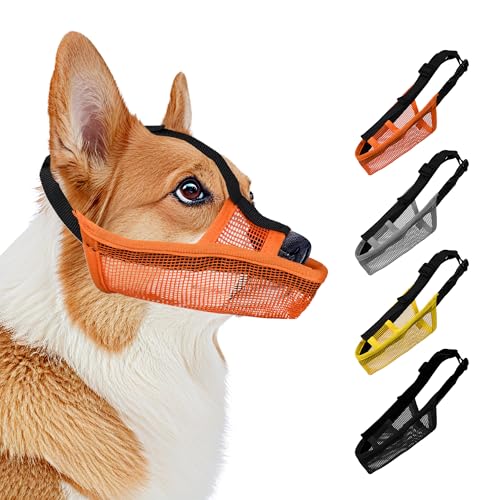 JOYPAWS Weicher Maulkorb für kleine, mittelgroße und große Hunde, lange Schnauze, atmungsaktiv, luftdurchlässig, trinkbar, Haustiermaulkorb gegen Beißen, Kauen mit verstellbaren Riemen, Anti-Bellen JOYPAWS Weicher Maulkorb für kleine, mittelgroße und große Hunde, lange Schnauze, atmungsaktiv, luftdurchlässig, trinkbar, Haustiermaulkorb gegen Beißen, Kauen mit verstellbaren Riemen, Anti-Bellen von JOYPAWS