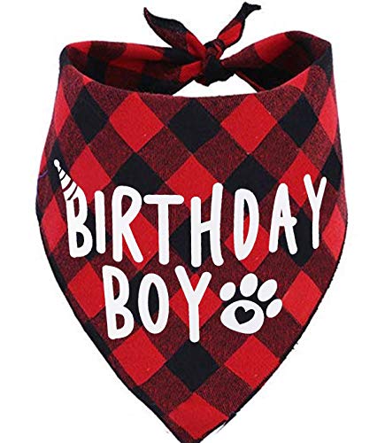 JPB Birthday Boy Dog Bandana von JPB