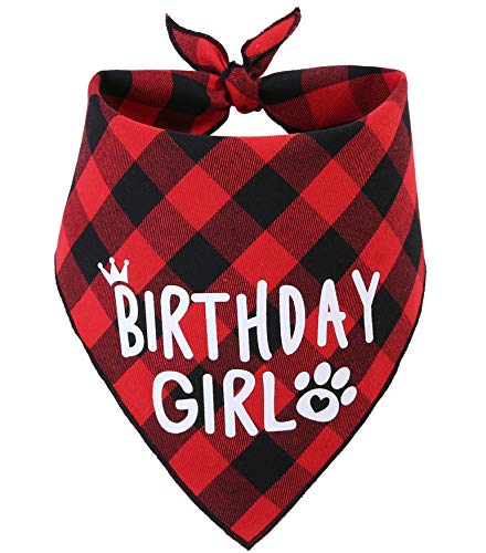 JPB Hunde-Geburtstags-Halstuch für Mädchen von JPB