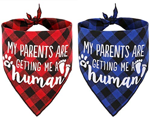 My Parents are Getting me a Human,2 Pack Gender Reveal Hundehalstücher von JPB