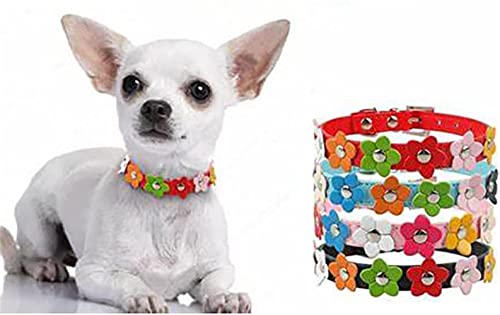 Blumen-Hundehalsband für Mädchen und Jungen, buntes weiches PU-Leder, niedlich, ausgefallenes Katzenhalsband, verstellbar, hübsches Haustier, Welpen, Kätzchen, weiblich, männlich, Gelb M von JPOJPO