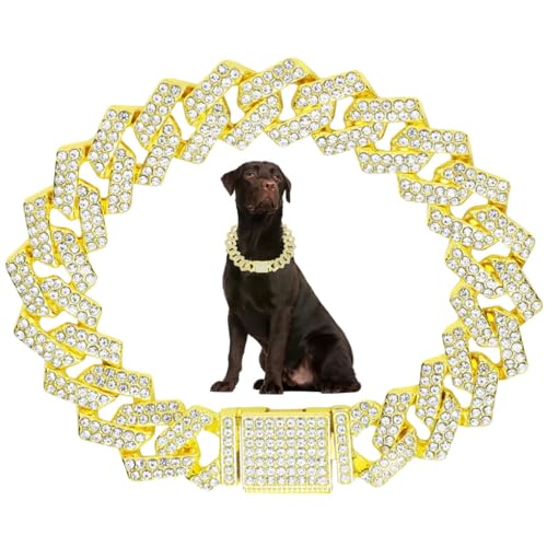 Goldene Hundekette für kleine Hunde, kubanisches Gliederhalsband, glitzernde Halsketten, Katzen, Metall, Kristall, glitzernde Diamanten, Strass, Welpenhalsbänder für kleine, mittelgroße und große Goldene Hundekette für kleine Hunde, kubanisches Gliederhalsband, glitzernde Halsketten, Katzen, Metall, Kristall, glitzernde Diamanten, Strass, Welpenhalsbänder für kleine, mittelgroße und große von JPOJPO