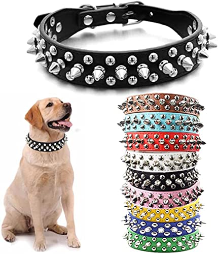 Hundehalsband mit Nieten, PU-Leder, Katzenhalsband, verstellbare Metallschnalle, Nieten, für kleine, mittelgroße und große Rassen, Mädchen und Jungen, Hellblau, Größe M Hundehalsband mit Nieten, PU-Leder, Katzenhalsband, verstellbare Metallschnalle, Nieten, für kleine, mittelgroße und große Rassen, Mädchen und Jungen, Hellblau, Größe M von JPOJPO