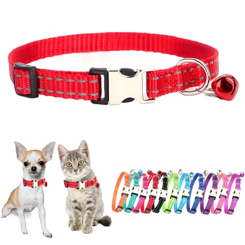 Hundehalsband mit Glöckchen, für Katzen, kleine Glöckchen, für kleine Mädchen, Jungen, Kätzchen, Welpen, Halsband für XS, XS, extra Rassen, Rot, Größe XS Hundehalsband mit Glöckchen, für Katzen, kleine Glöckchen, für kleine Mädchen, Jungen, Kätzchen, Welpen, Halsband für XS, XS, extra Rassen, Rot, Größe XS von JPOJPO