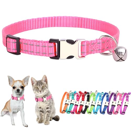 Hundehalsband mit Glöckchen, für Katzen, kleine Glöckchen, kleine Mädchen, weiblich, Jungen, Kätzchen, Welpen, Halsband für XS, XS, extra Rassen, Rosa Hundehalsband mit Glöckchen, für Katzen, kleine Glöckchen, kleine Mädchen, weiblich, Jungen, Kätzchen, Welpen, Halsband für XS, XS, extra Rassen, Rosa von JPOJPO