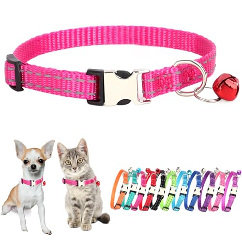 Hundehalsband mit Glöckchen, für Katzen, kleine Glöckchen, kleines Mädchen, Jungen, Kätzchen, Welpen, Halsband für XS, XS, extra Rassen, Hot Pink Hundehalsband mit Glöckchen, für Katzen, kleine Glöckchen, kleines Mädchen, Jungen, Kätzchen, Welpen, Halsband für XS, XS, extra Rassen, Hot Pink von JPOJPO