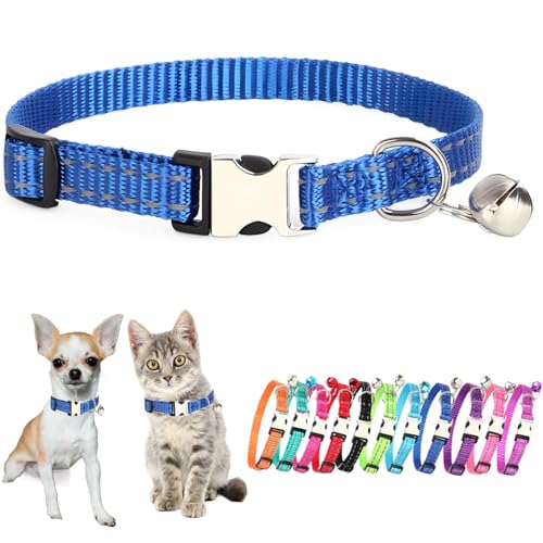 Hundehalsband mit Glöckchen, für Katzen, kleine Glöckchen, kleines Mädchen, weiblich, Jungen, Kätzchen, Welpen, Halsband für XS, XS, extra Rassen, Blau Hundehalsband mit Glöckchen, für Katzen, kleine Glöckchen, kleines Mädchen, weiblich, Jungen, Kätzchen, Welpen, Halsband für XS, XS, extra Rassen, Blau von JPOJPO