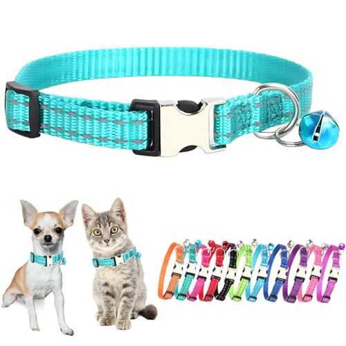 Hundehalsband mit Glöckchen, für Welpen, mit Glöckchen, kleine Glöckchen, kleines Mädchen, weiblich, Jungen, Kätzchen, Welpen, Halsband für XS, XS, extra Rassen, Blaugrün von JPOJPO