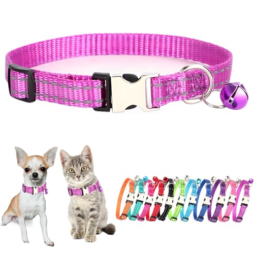 Welpenhalsband mit Glöckchen, Größe XS, mit Glöckchen, für kleine Mädchen, Jungen, Kätzchen, Welpen, Halsband für XS, XS, extra Rassen, Violett Welpenhalsband mit Glöckchen, Größe XS, mit Glöckchen, für kleine Mädchen, Jungen, Kätzchen, Welpen, Halsband für XS, XS, extra Rassen, Violett von JPOJPO