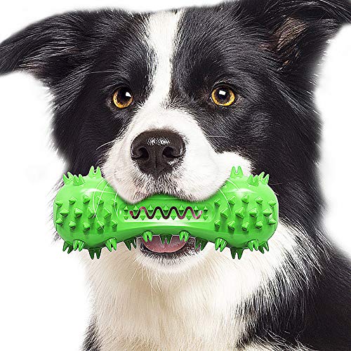 JPYH 1PCS Hundezahnpflegespielzeug, Hundegummizahn-Reinigungsstab, Hundezahnpflege, Begleithundespielzeug, Grün von JPYH