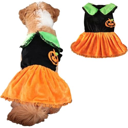 Halloween-Welpenkleid – Entzückendes orangefarbenes Kürbis- und Geisterkostüm mit Fliege für kleine Hunde und Katzen, perfekt für Chihuahuas, Yorkshire Terrier und Pudel, Größe M (Oange+Schwarz) von JQTOP