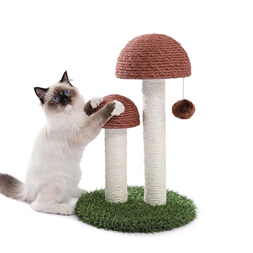 JQTOP Kratzbaum für Katzen, Pilz, hoch, mit natürlichem Sisal-Kratzstangen und interaktivem Spielzeugball für Kätzchen und kleine Katzen von JQTOP