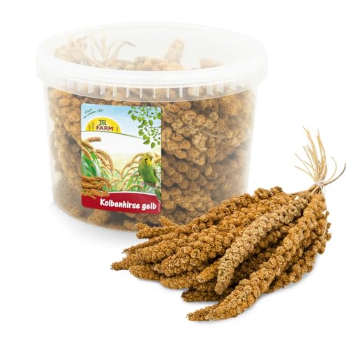JR FARM Birds Kolbenhirse gelb im Eimer 500 g JR FARM Birds Kolbenhirse gelb im Eimer 500 g von JR Farm