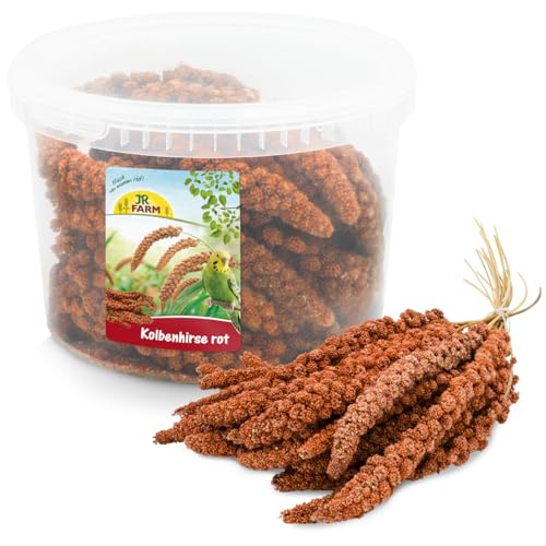 JR FARM Birds Kolbenhirse rot im Eimer 500 g JR FARM Birds Kolbenhirse rot im Eimer 500 g von JR Farm