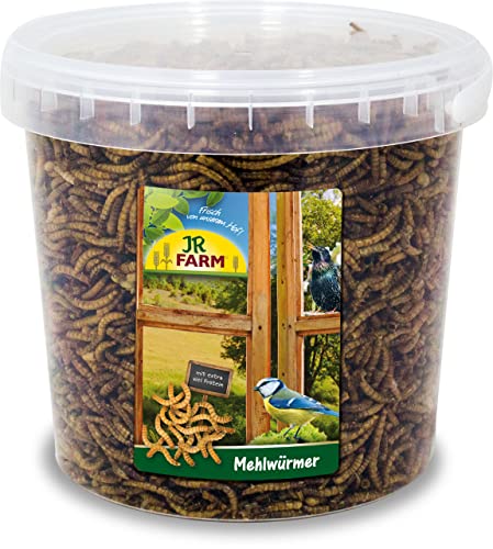 JR FARM Garden Mehlwürmer 400g Eimer von JR Farm