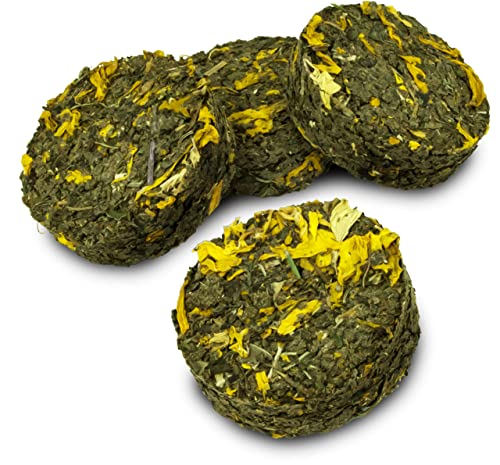 JR FARM Grainless Kräuterolis Löwenzahn-Sonnenblume 80g JR FARM Grainless Kräuterolis Löwenzahn-Sonnenblume 80g von JR Farm