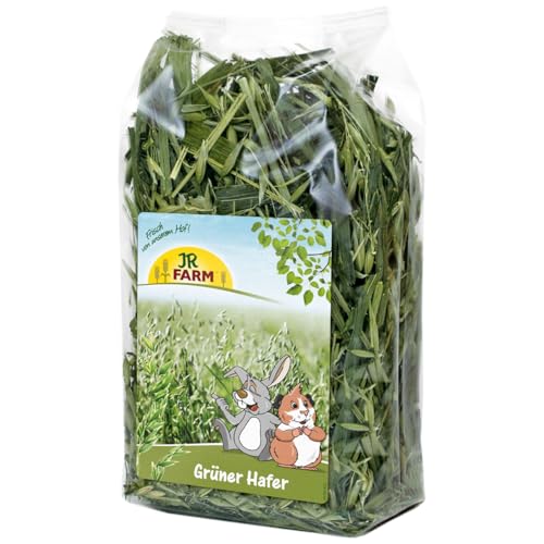 JR FARM Grüner Hafer 100 g von JR Farm