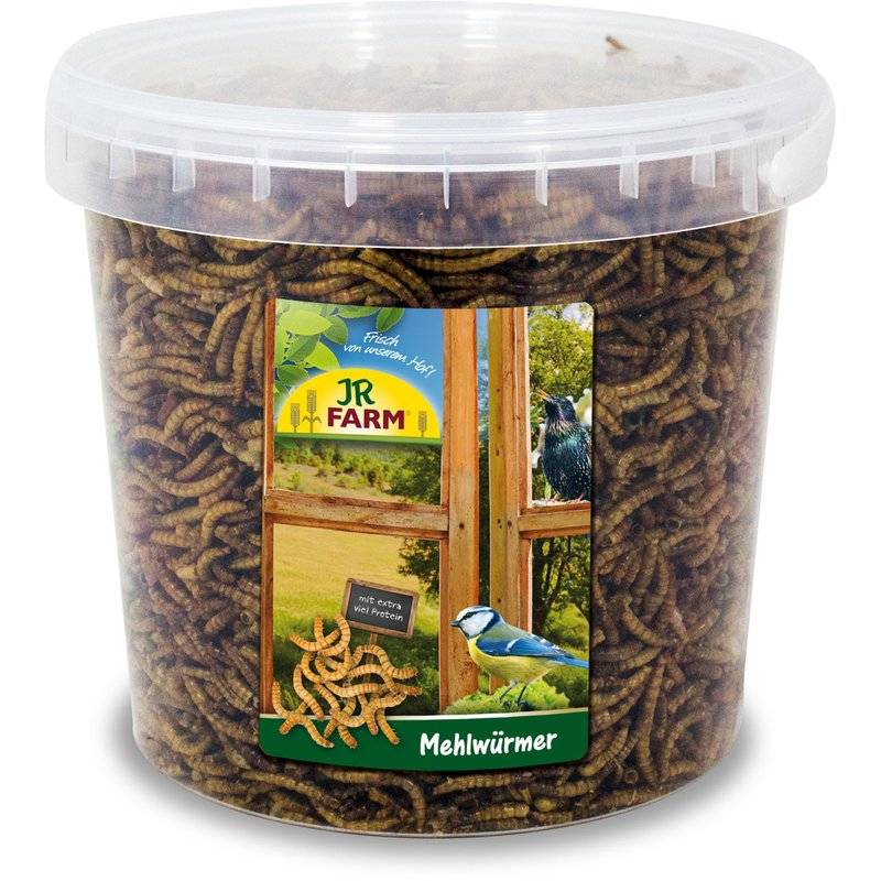 JR FARM Mehlwürmer Eimer 400 g (42,13 € pro 1 kg) von JR Farm