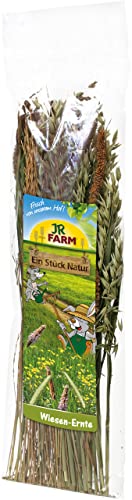 JR FARM ESN Wiesen-Ernte 80 g JR FARM ESN Wiesen-Ernte 80 g von JR Farm