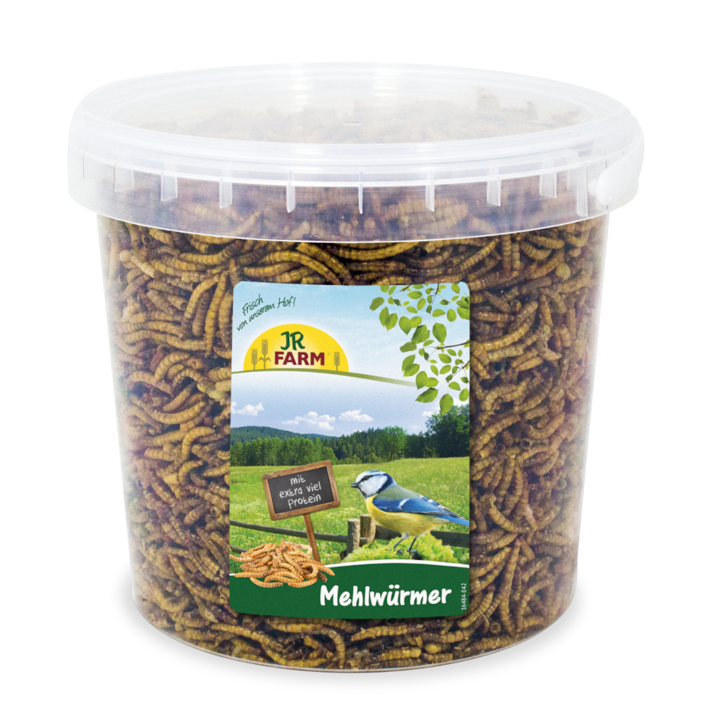 JR Farm Mehlwürmer mit Extra Viel Protein - 400 g JR Farm Mehlwürmer mit Extra Viel Protein - 400 g von JR Farm