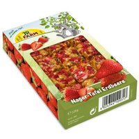 JR Farm Nagolade Nager-Tafel Erdbeere 125 g JR Farm Nagolade Nager-Tafel Erdbeere 125 g von JR Farm