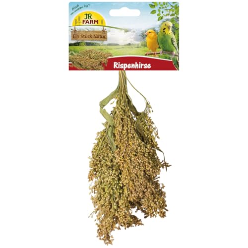 JR FARM Birds Rispenhirse 100 g JR FARM Birds Rispenhirse 100 g von JR Farm