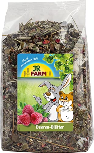 JR FARM Beeren-Blätter 100 g von JR Farm