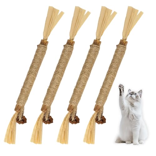JRILUO 4 Stück Kausticks für Katzen Zahnpflege, Katzenminze Spielzeug, Katzen Zahnpflege, Sicher helfen bei Zahnstein & Mundgeruch Gesund Hygiene Zahnpflege JRILUO 4 Stück Kausticks für Katzen Zahnpflege, Katzenminze Spielzeug, Katzen Zahnpflege, Sicher helfen bei Zahnstein & Mundgeruch Gesund Hygiene Zahnpflege von JRILUO