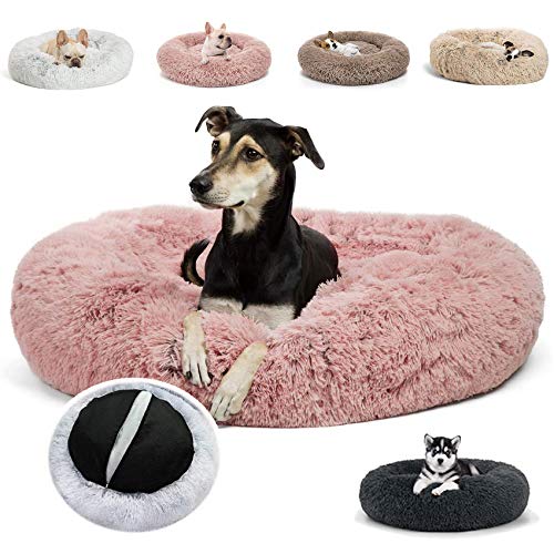 JRUI hundekissen für Grosse Hunde waschbar- hundebett katzenkissen- hundesofa- Haustierbett - Rund plüsch flauschig hundekörbchen katzenkörbchen JRUI hundekissen für Grosse Hunde waschbar- hundebett katzenkissen- hundesofa- Haustierbett - Rund plüsch flauschig hundekörbchen katzenkörbchen von JRUI