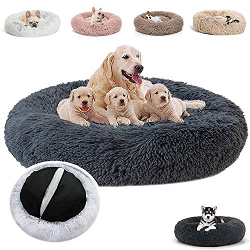JRUI hundekörbchen für kleine Hunde und Katze, Rund Plüsch hundebett Katzenkissen, katzenbett, Abwaschbar Hundekissen hundesofa, Haustierbett Flauschig JRUI hundekörbchen für kleine Hunde und Katze, Rund Plüsch hundebett Katzenkissen, katzenbett, Abwaschbar Hundekissen hundesofa, Haustierbett Flauschig von JRUI