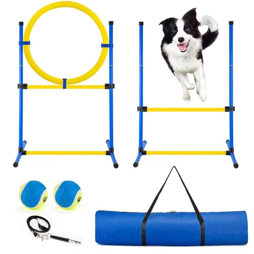 JRUICFDY Agility-Trainingsgerät für Hunde, Agility-Kurs, Hinterhof-Set, Hindernislauf für Haustiere im Innen- und Außenbereich, mit Agility-Hürde, Sprungring, Spielzeugbällen und Aufbewahrungstasche JRUICFDY Agility-Trainingsgerät für Hunde, Agility-Kurs, Hinterhof-Set, Hindernislauf für Haustiere im Innen- und Außenbereich, mit Agility-Hürde, Sprungring, Spielzeugbällen und Aufbewahrungstasche von JRUICFDY
